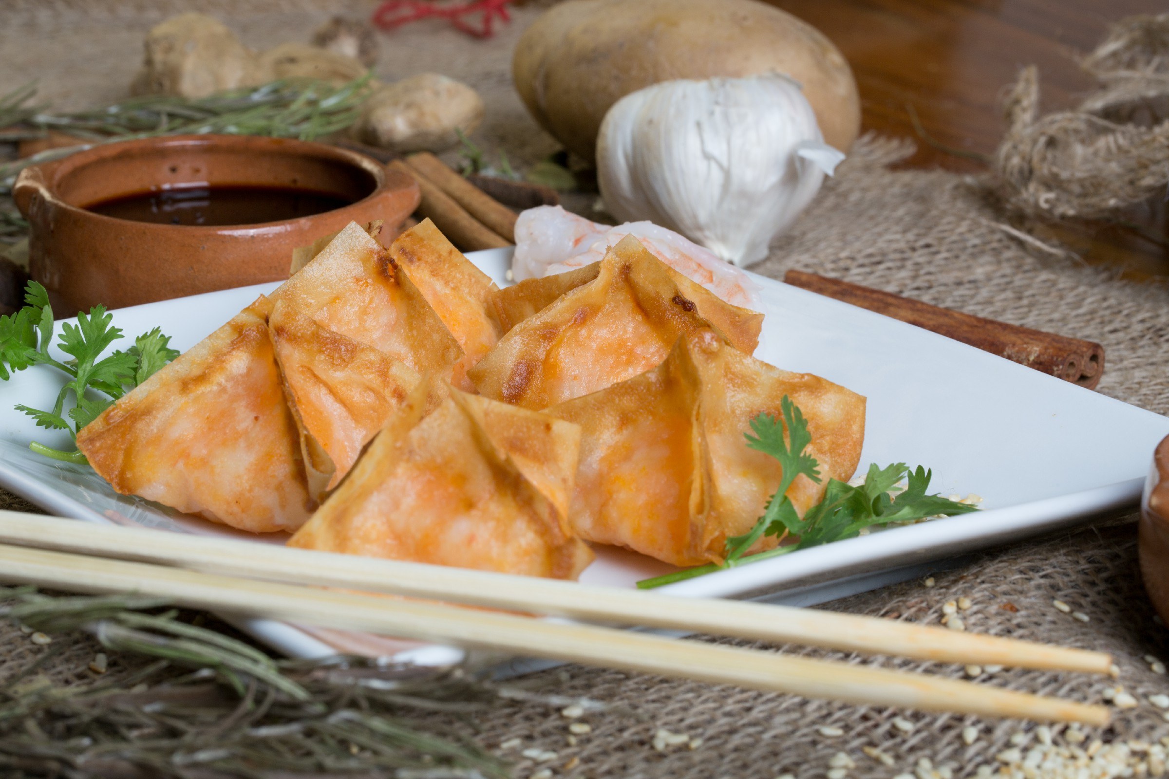 Fried Wonton